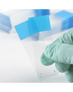** SPECIAL ORDER COLOR ** Microscope Slides, Diamond White Glass, 25 x 75mm, Charged, 45° Beveled Edges, Safety Corners, Yellow Frosted, 72/Box, 20 Boxes/Case (10 Gross)